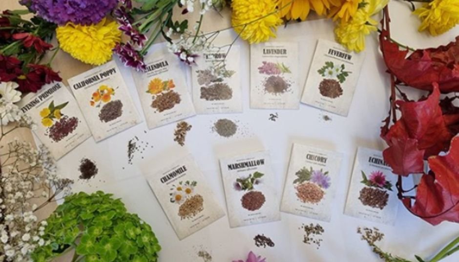 Medicinal Garden Kit Reviews