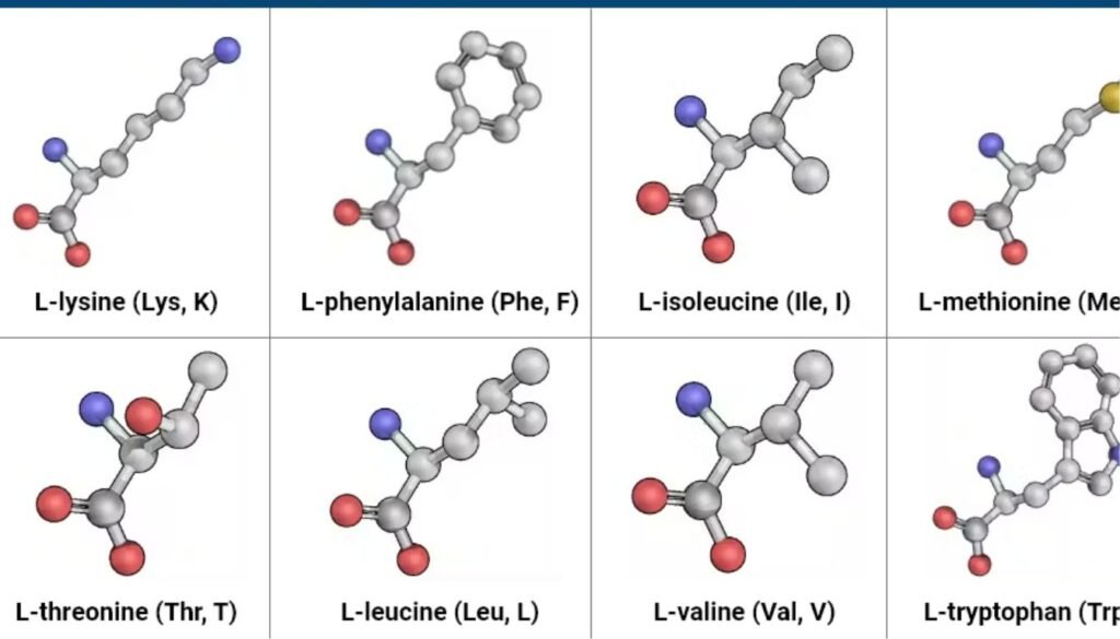 Advanced Amino Formula Reviews